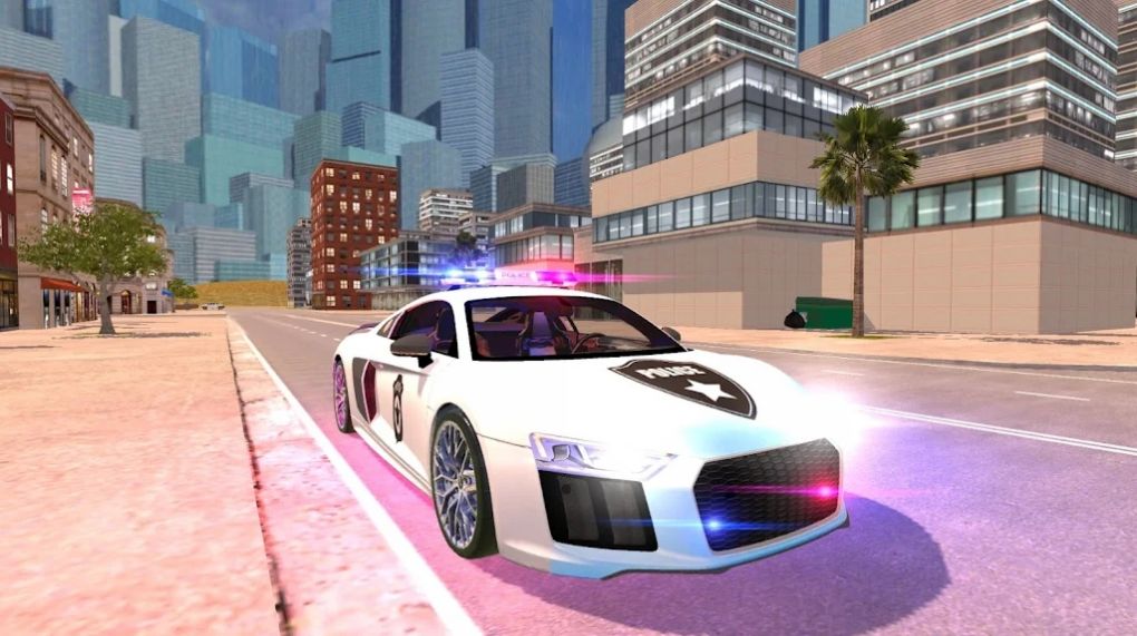 R8警察模拟器2021游戏-插图2